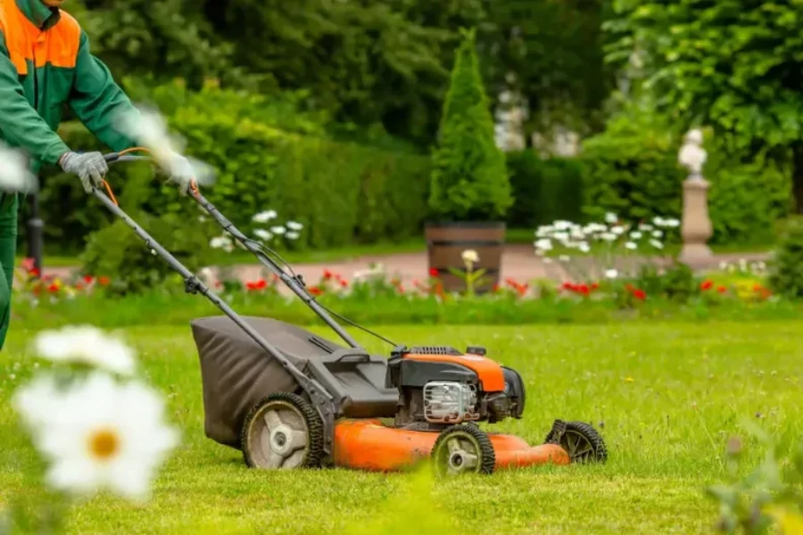 Local Lawn Maintenance New Port Richey, FL Local Lawn Maintenance New Port Richey, FL