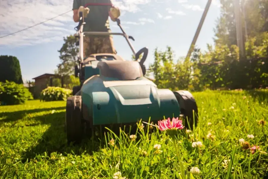 Quality Grass Cutting Service New Port Richey, FL Quality Grass Cutting Service New Port Richey, FL