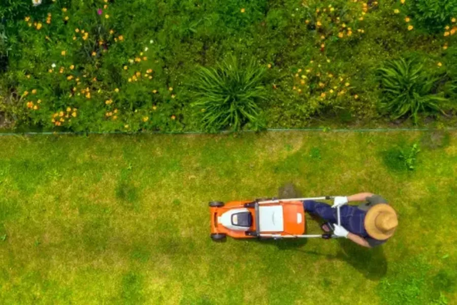 Reliable Lawn Maintenance New Port Richey, FL Reliable Lawn Maintenance New Port Richey, FL